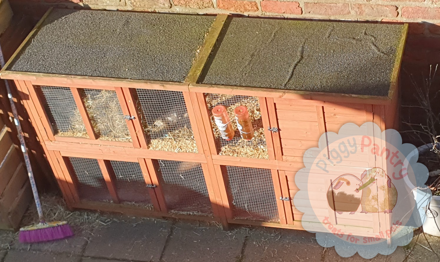 A basic outdoor guinea pig hutch