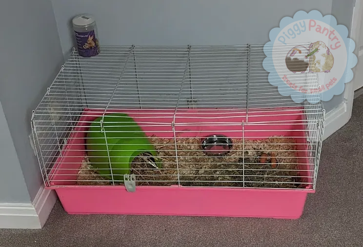 Maggie and Flo's isolation cage