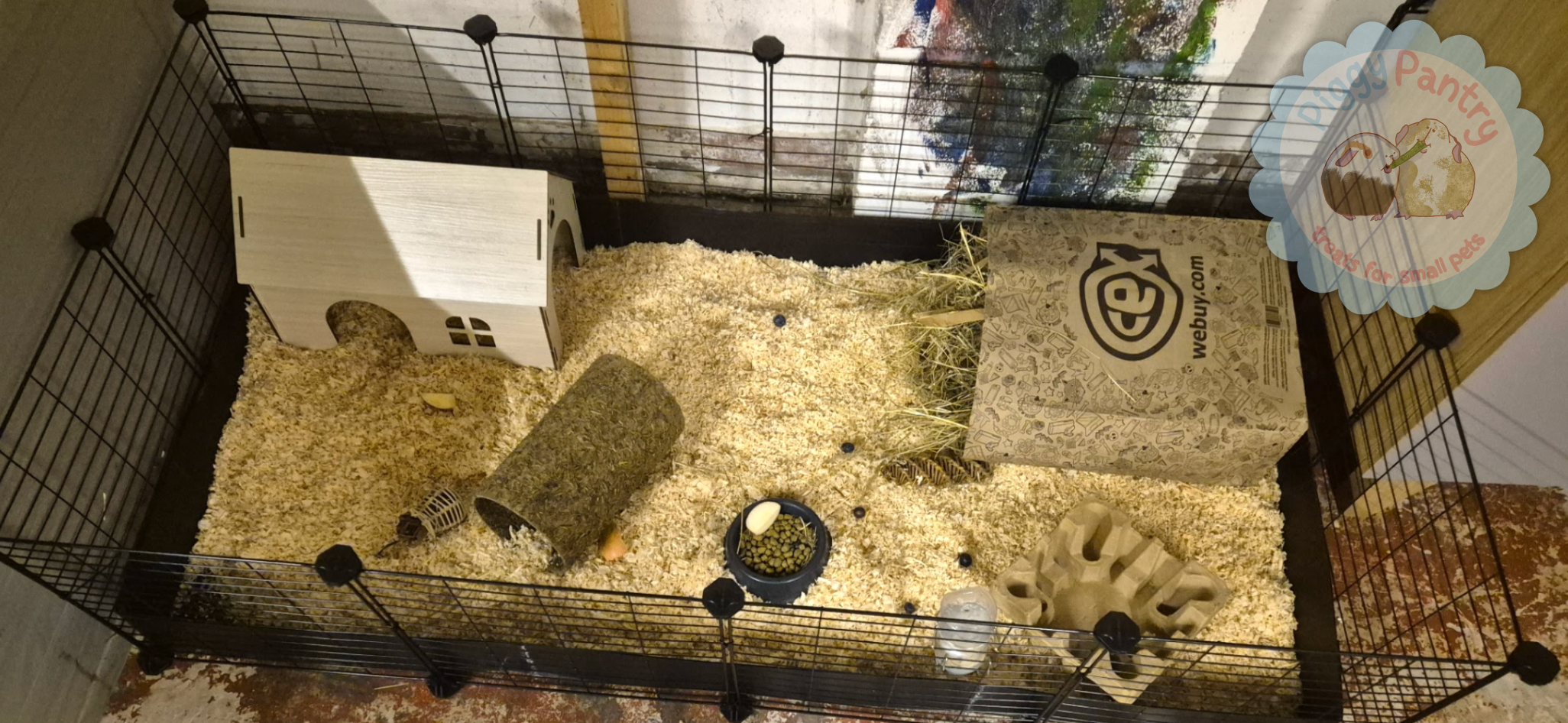 a 2x4ft C&C cage